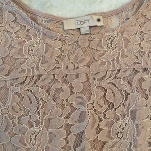 Ann Taylor loft lace top